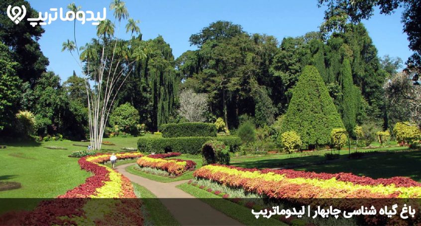 باغ گیاه شناسی