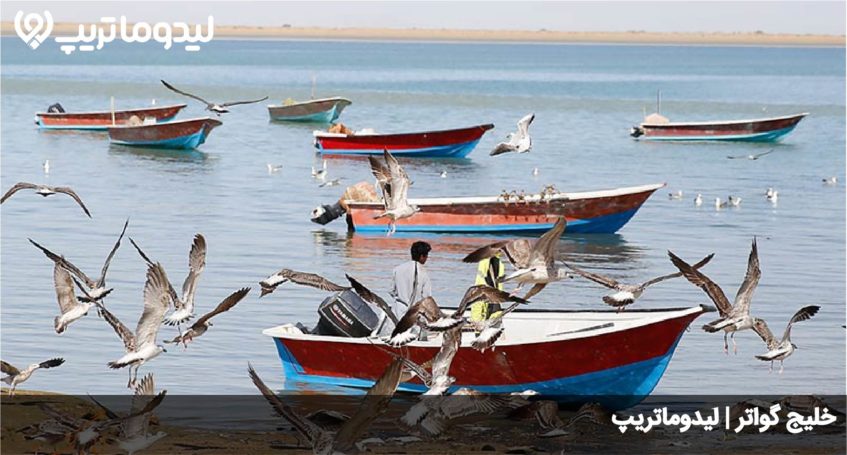 خلیج گواتر