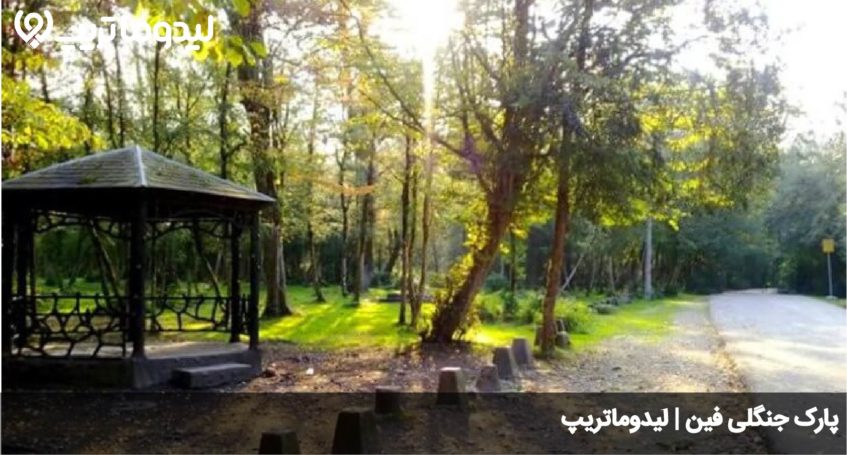 پارک جنگلی