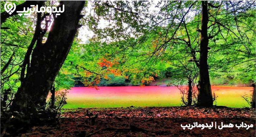 مرداب هسل
