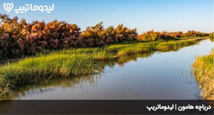 دریاچه هامون