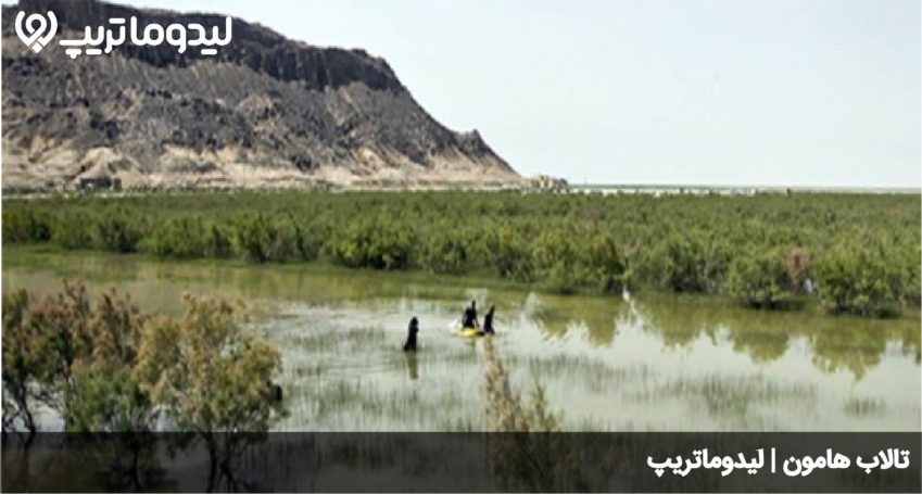 هامون