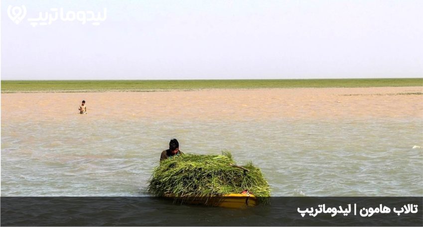 تالاب هامون