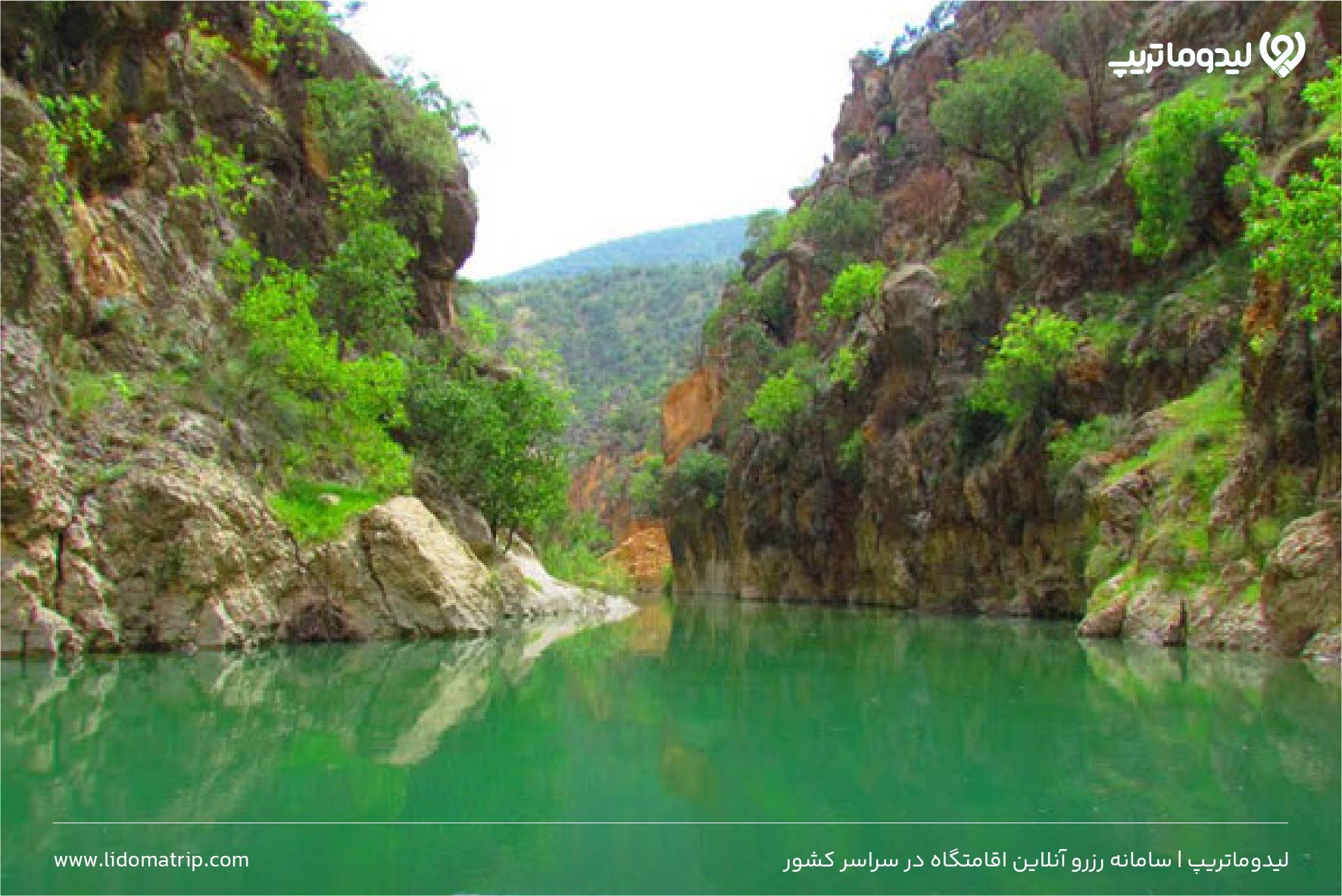 تنگ دم اسب
