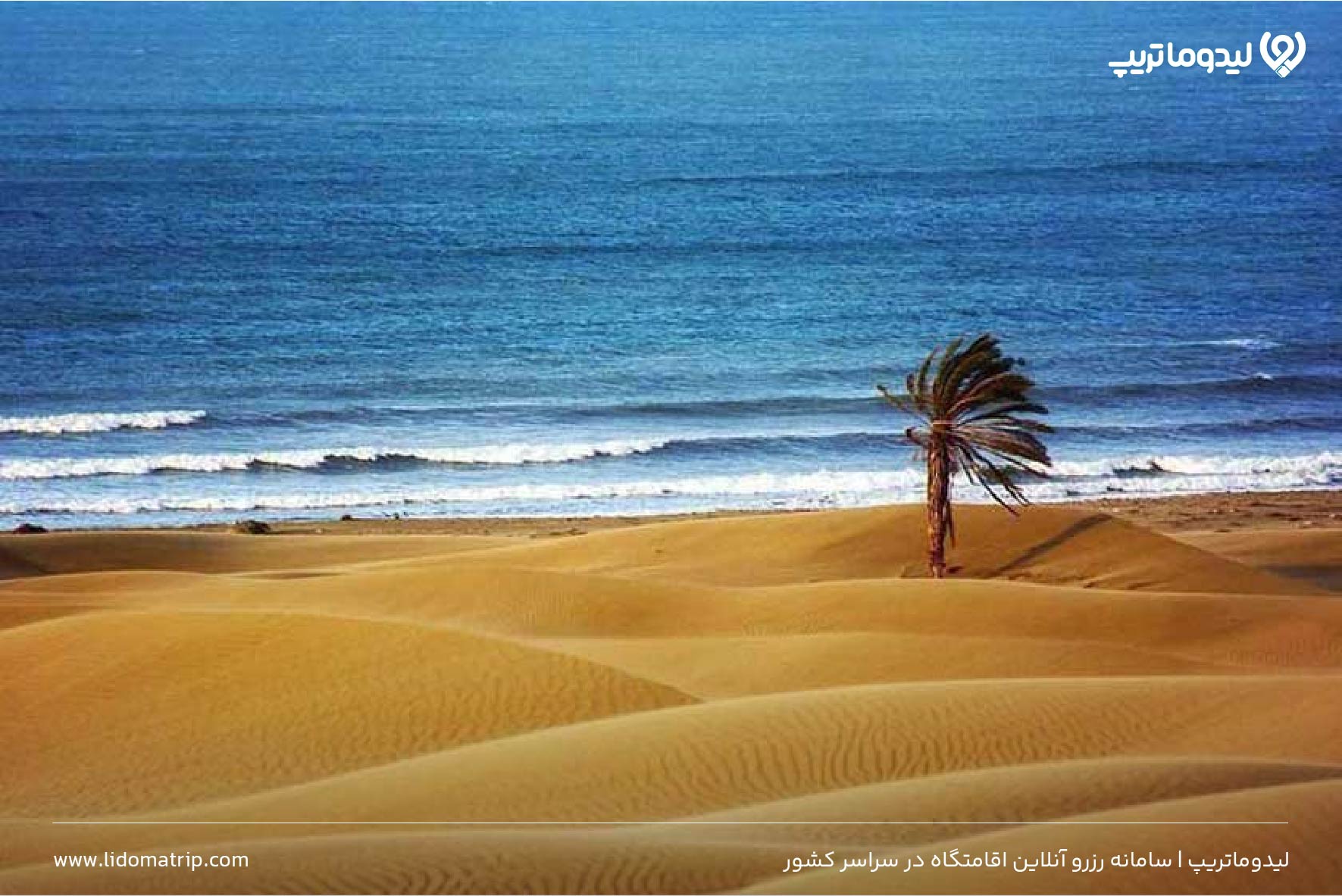 ساحل درک