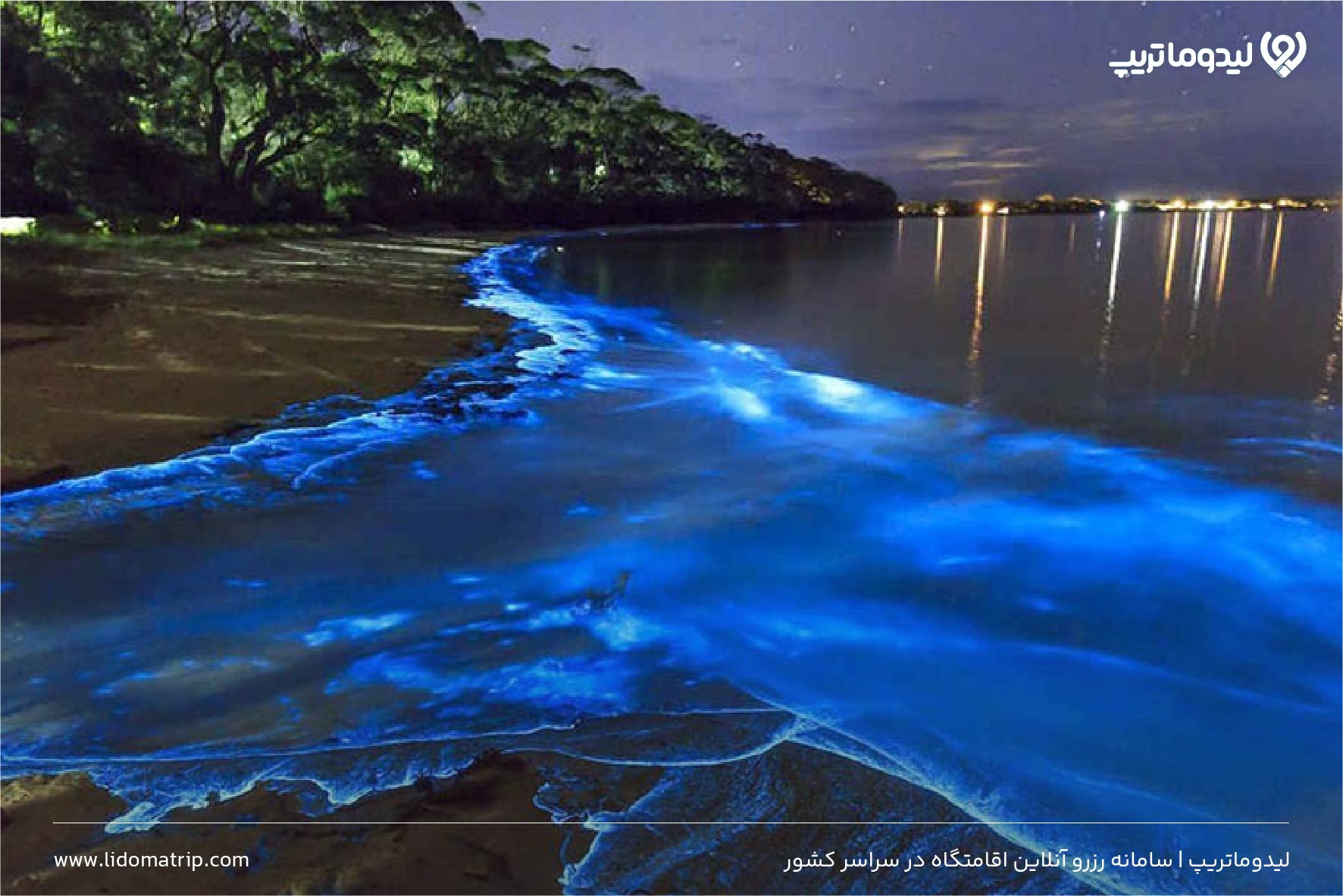 ساحل شب تاب چابهار