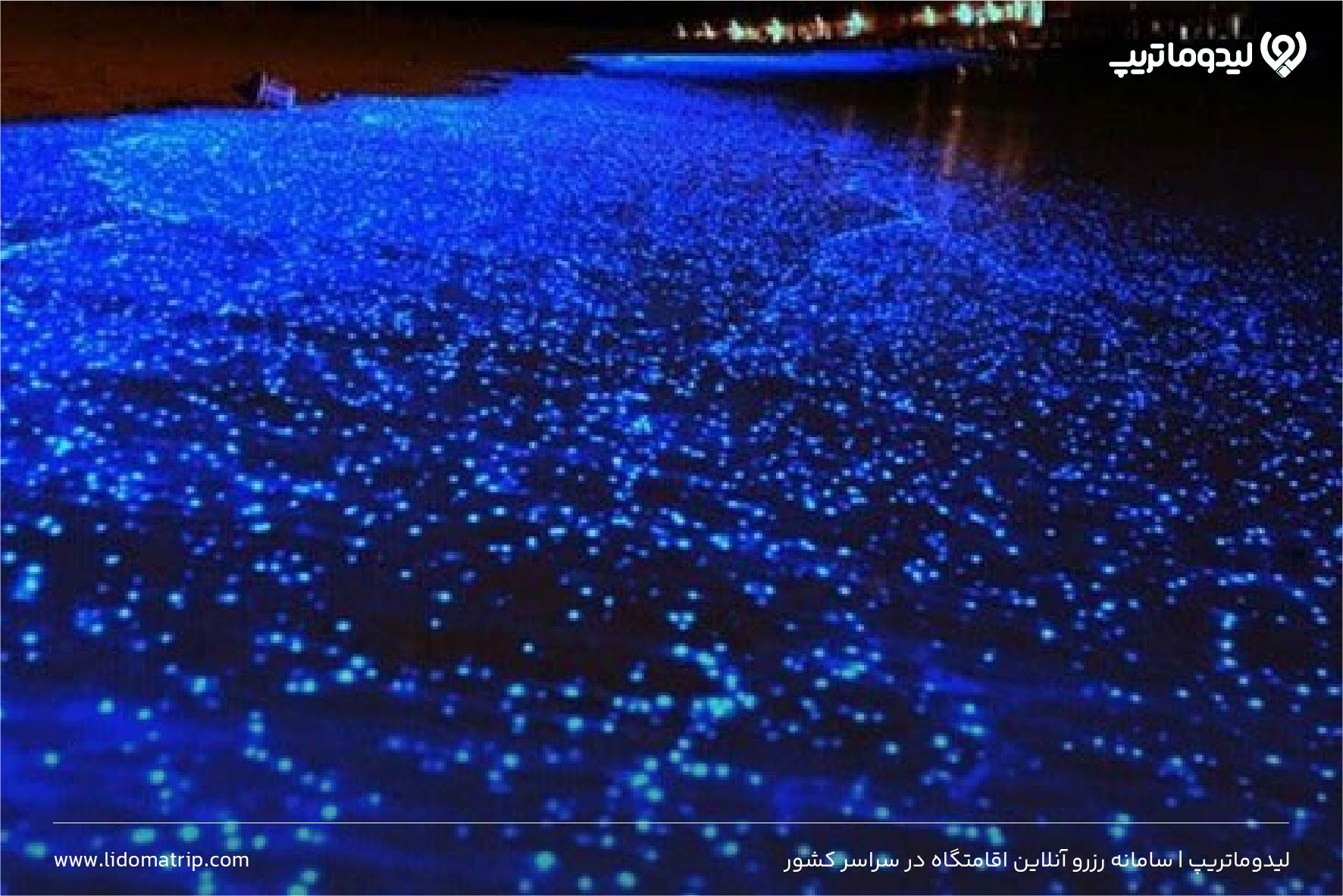 ساحل شب تاب