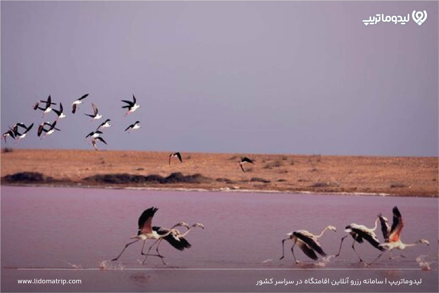 تالاب لیپار