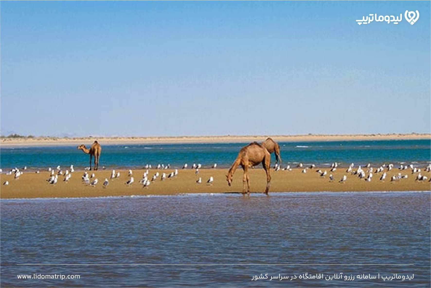 ساحل چابهار