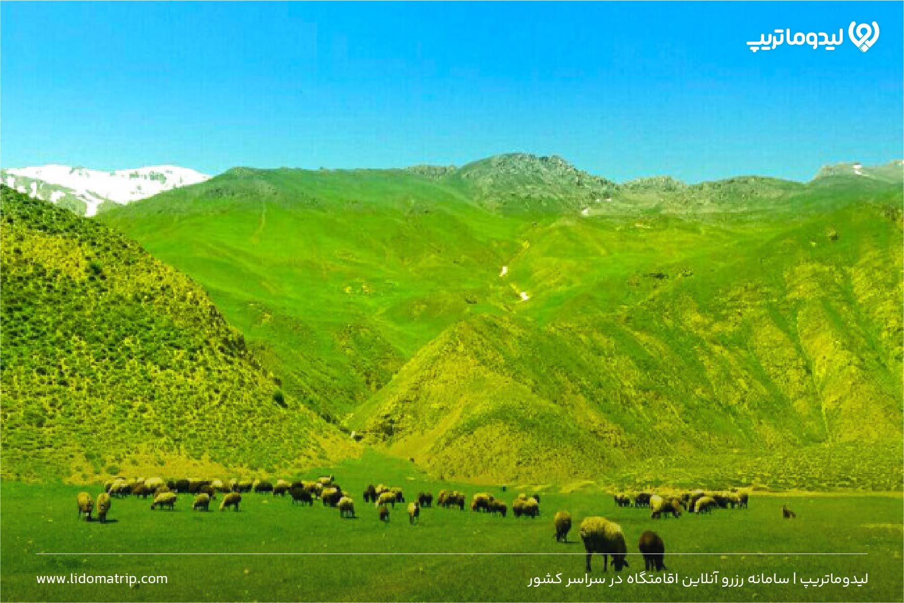 دشت ارژن