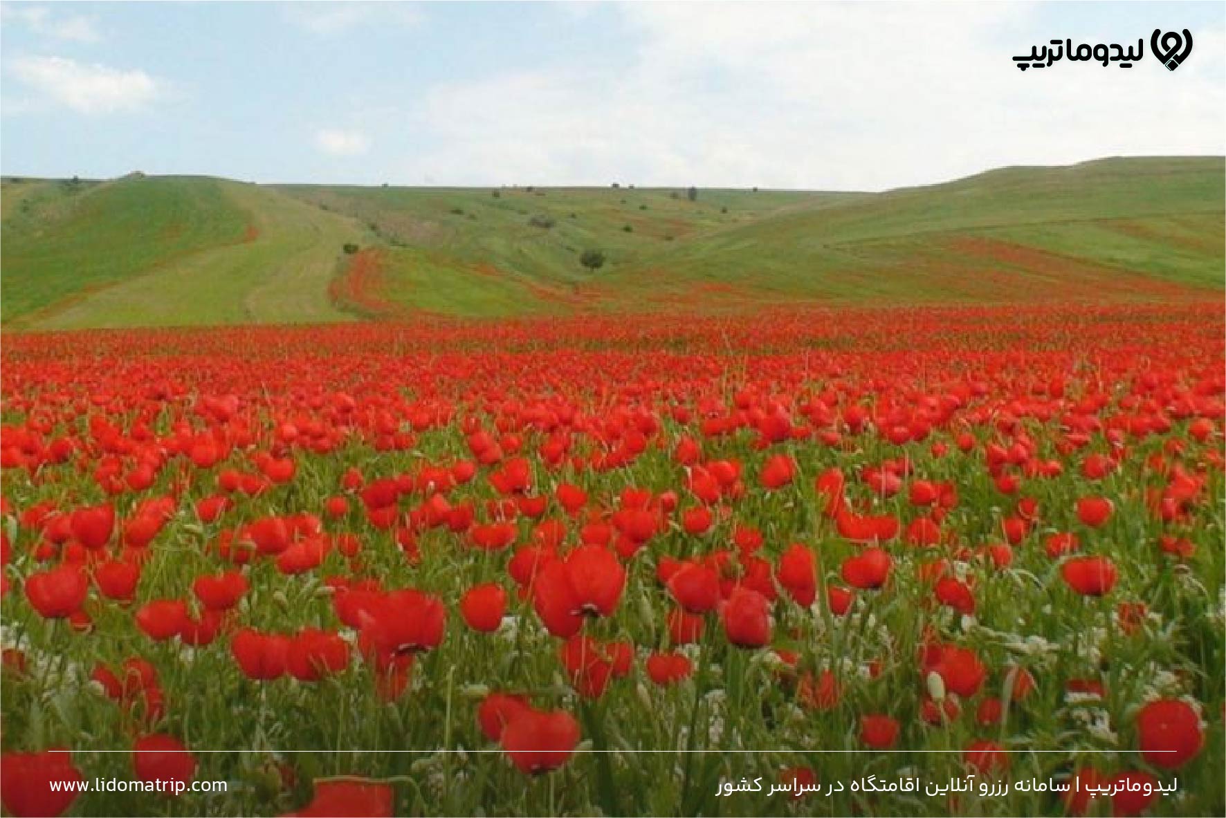 پوشش گیاهی دشت ارژن