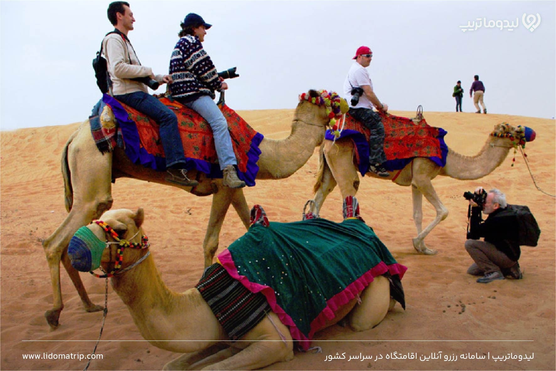 سافاری کیش