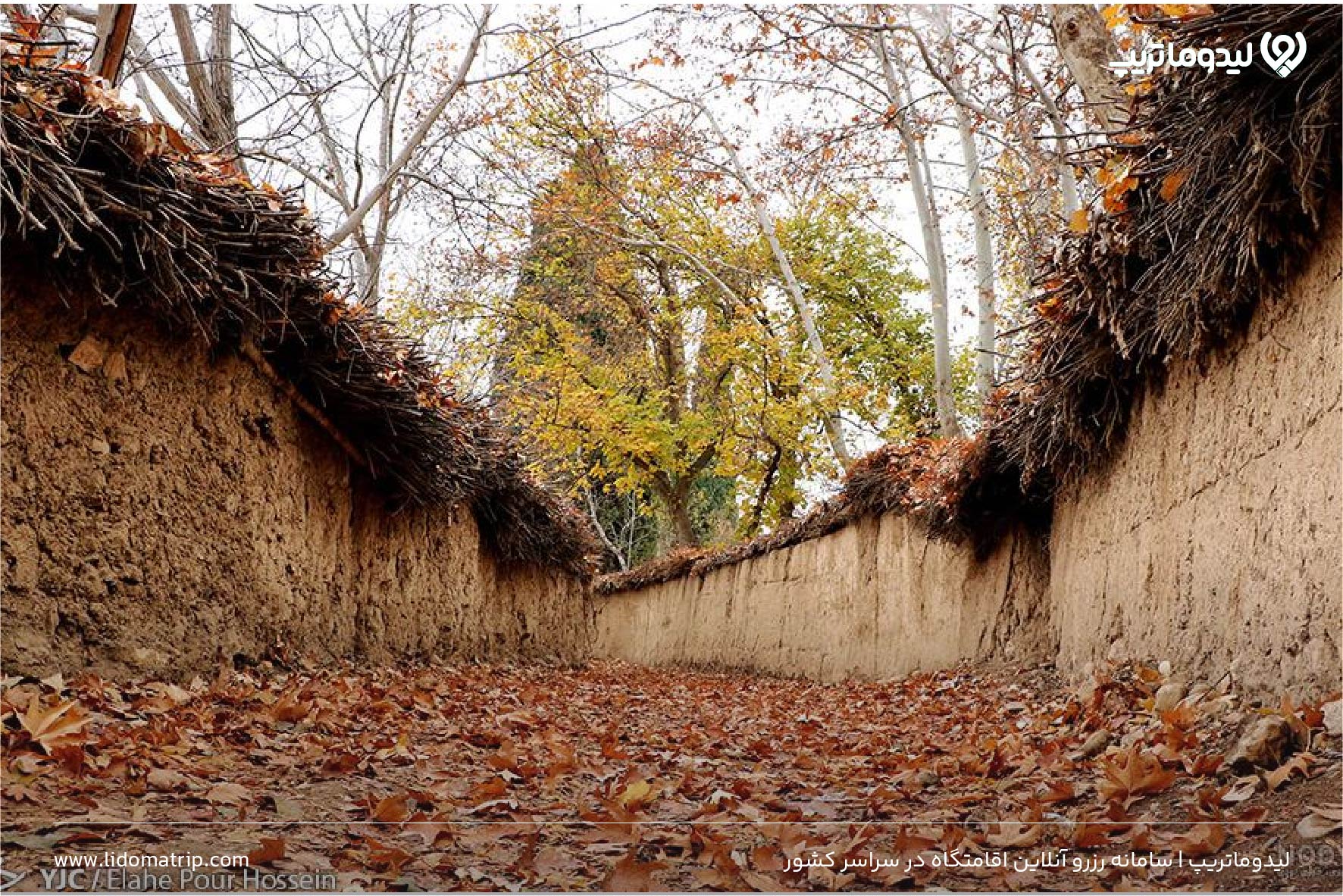 شیراز گردی در پاییز