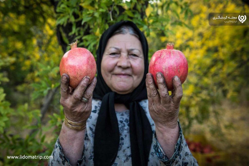 انار فاروق