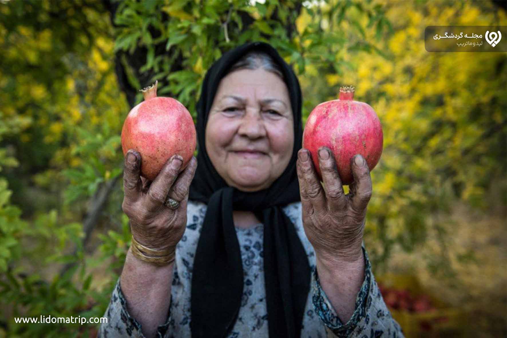 راهنمای سفر به فاروق
