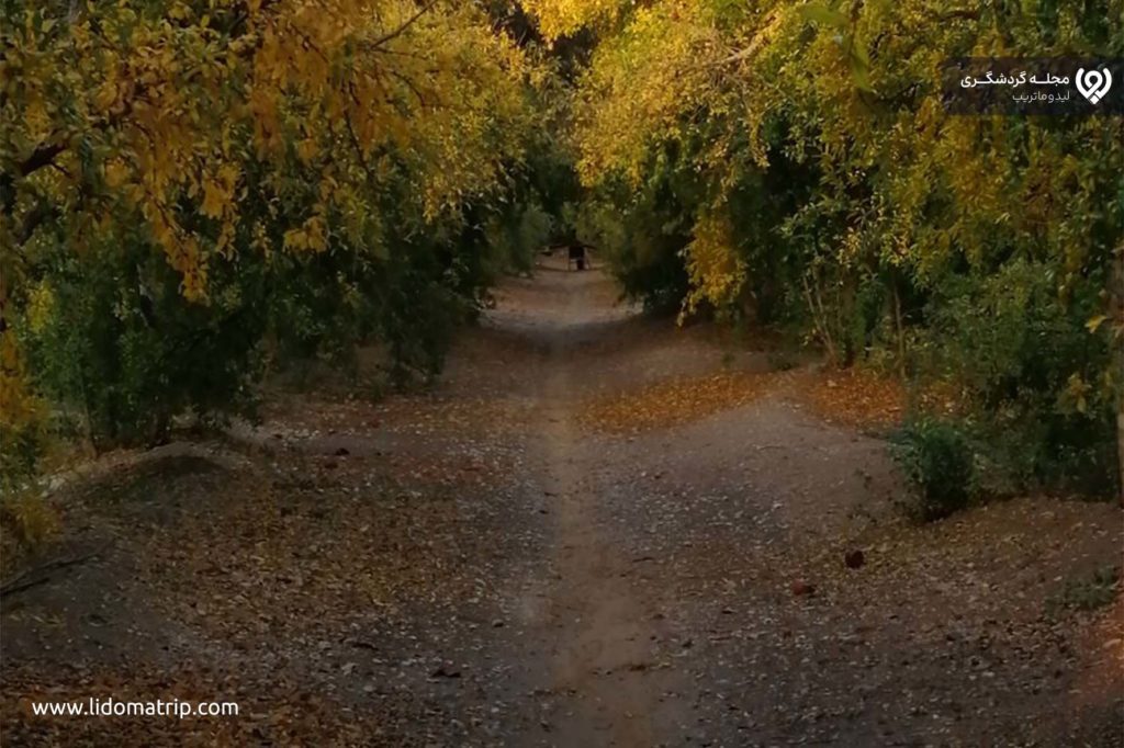 روستای فاروق