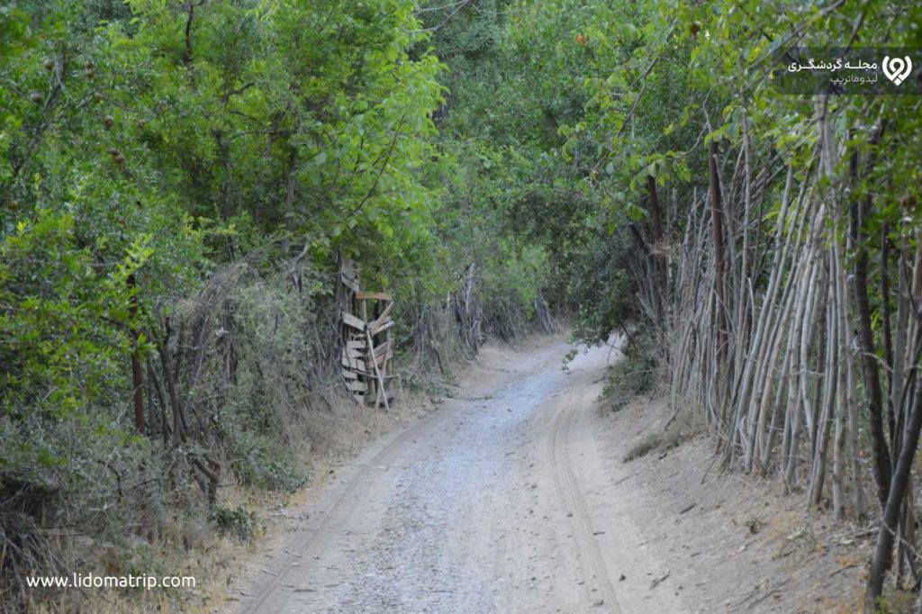 روستای فاروق